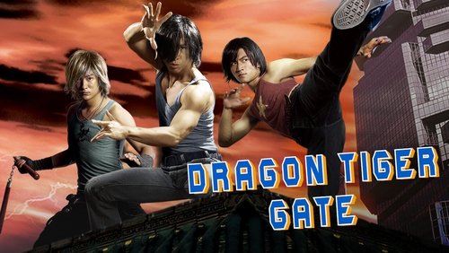 Dragon Tiger Gate - Long Hổ Môn - Hình 1