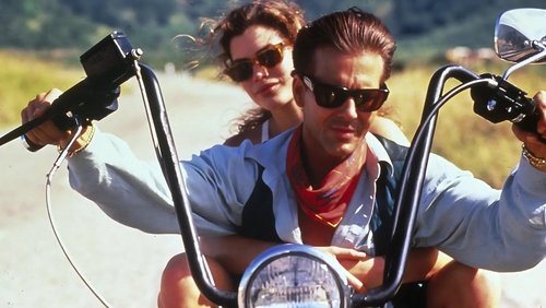 Wild Orchid - Hoa Lan Dại - Hình 3