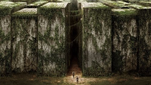 The Maze Runner - Giải Mã Mê Cung - Hình 2