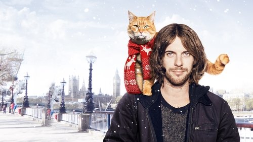 A Street Cat Named Bob - Chú Mèo Đường Phố Tên Bob - Hình 2