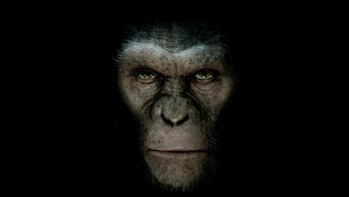 Rise of the Planet of the Apes - Sự Trỗi Dậy Của Hành Tinh Khỉ - Hình 6