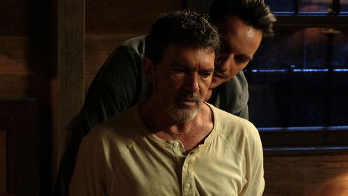 Black Butterfly - Giăng Bẫy - Hình 4