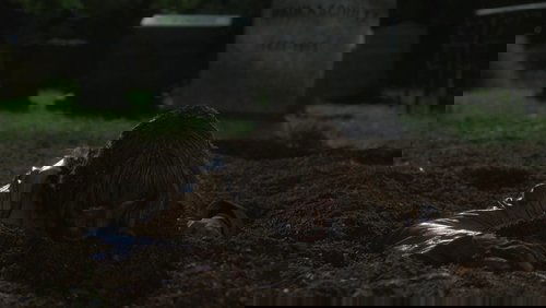 Kill Bill: Vol. 2 - Cô Dâu Báo Thù 2 - Hình 3