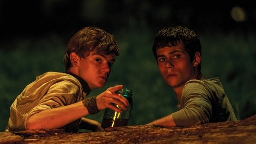 The Maze Runner - Giải Mã Mê Cung - Hình 5