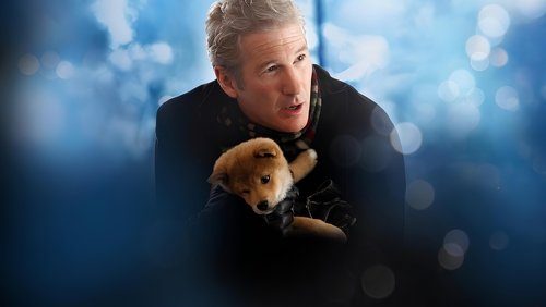 Hachi: A Dog's Tale - Hachiko Chú Chó Trung Thành - Hình 1