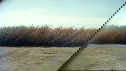 10 Cloverfield Lane - Căn Hầm - Hình 2