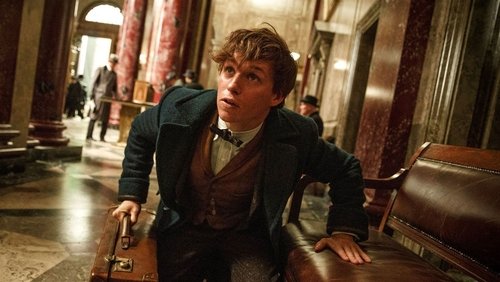 Fantastic Beasts And Where To Find Them - Sinh Vật Huyền Bí Và Nơi Tìm Ra Chúng - Hình 2