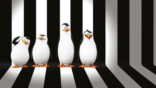 Penguins of Madagascar - Biệt Đội Cánh Cụt Vùng Madagascar - Hình 1