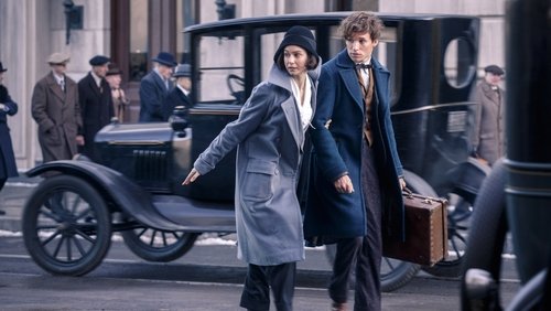 Fantastic Beasts And Where To Find Them - Sinh Vật Huyền Bí Và Nơi Tìm Ra Chúng - Hình 1