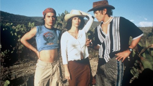 Y Tu Mamá También | And Your Mother Too - Vào Đời - Hình 3