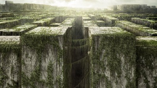 The Maze Runner - Giải Mã Mê Cung - Hình 6