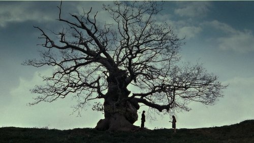 Harry Potter And The Deathly Hallows: Part 2 - Harry Potter Và Bảo Bối Tử Thần - Phần 2 - Hình 2