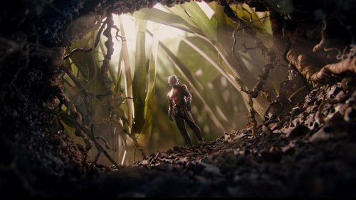 Ant-Man - Người Kiến - Hình 2