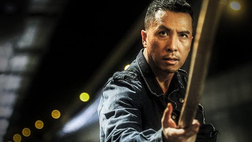 Kung Fu Jungle - Kế Hoạch Bí Ẩn - Hình 6