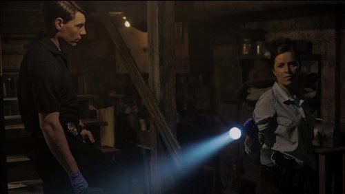 Gone Girl - Cô Gái Mất Tích - Hình 1