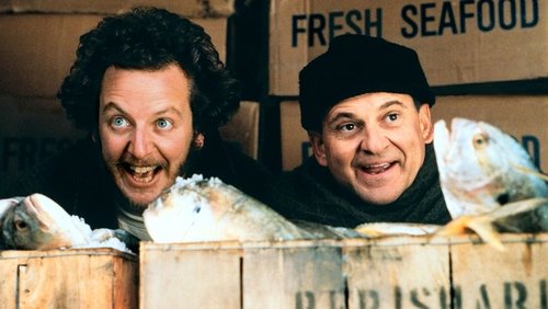 Home Alone 2: Lost in New York - Ở Nhà Một Mình 2: Lạc Ở New York - Hình 5