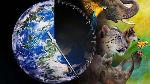 <a class='seoclass' href='/phim/racing-extinction-715' title='Xem phim Racing Extinction'>Racing Extinction</a> - Cuộc Đua Tuyệt Chủng - Hình 1