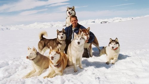 Eight Below - Âm Tám Độ - Hình 5