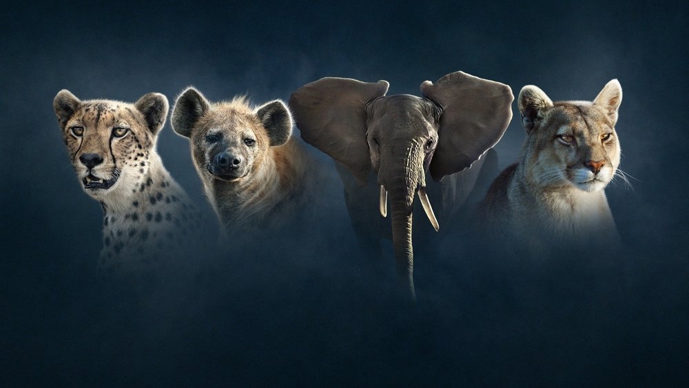 Dynasties II