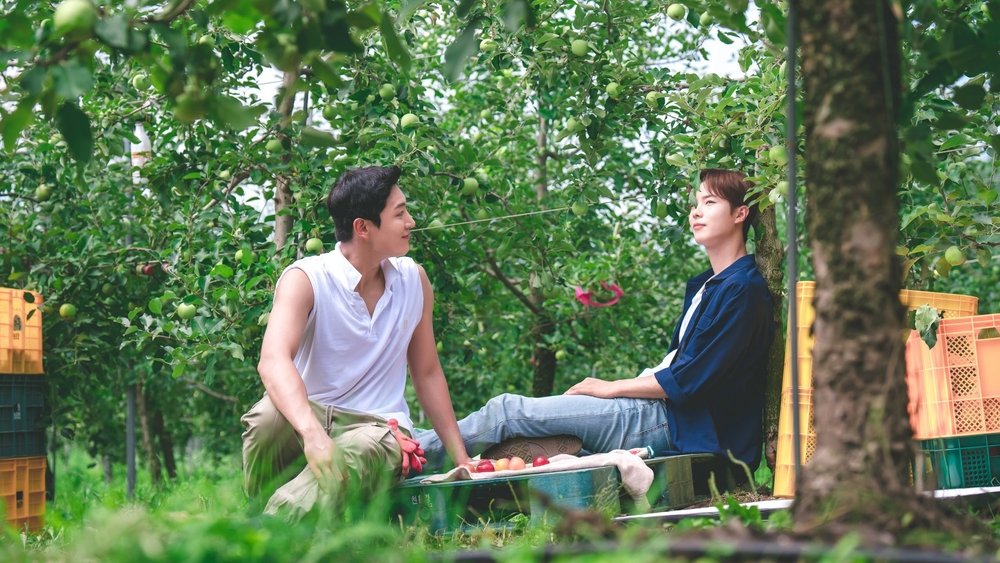 Xe Công Nông Tình Yêu