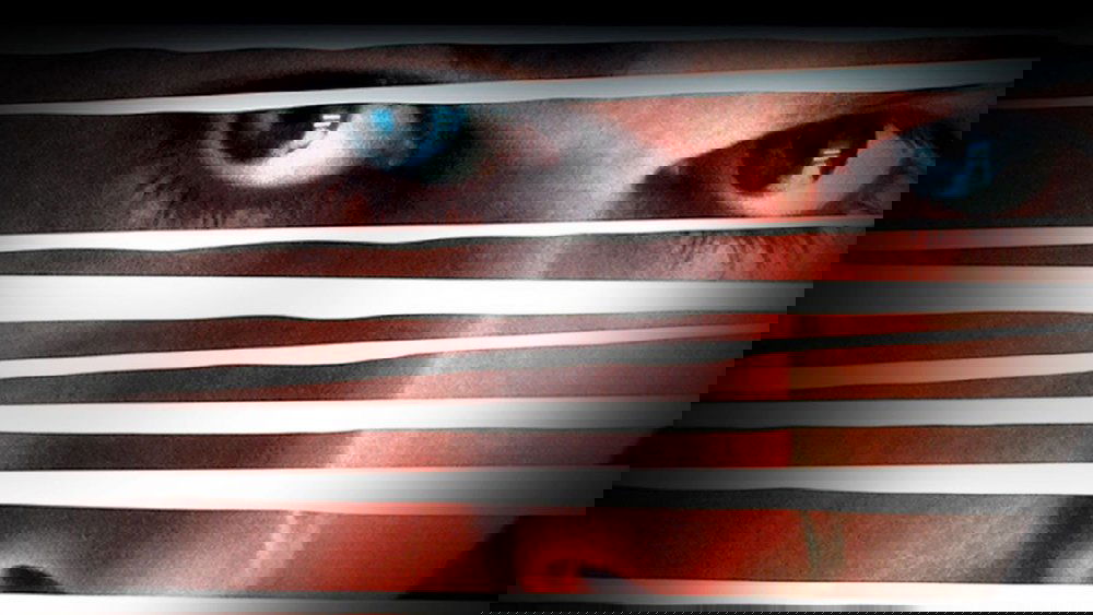 Nhập Cảnh Bất Hợp Pháp