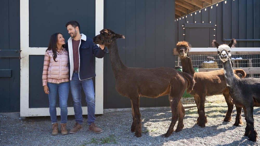 Giáng Sinh Dưới Ánh Đèn