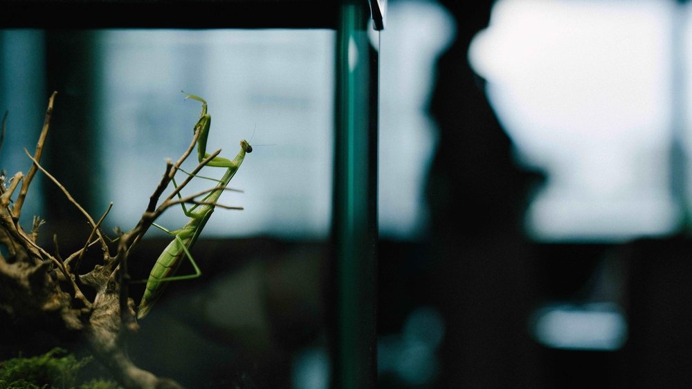 Tiết Khí Thứ Ba