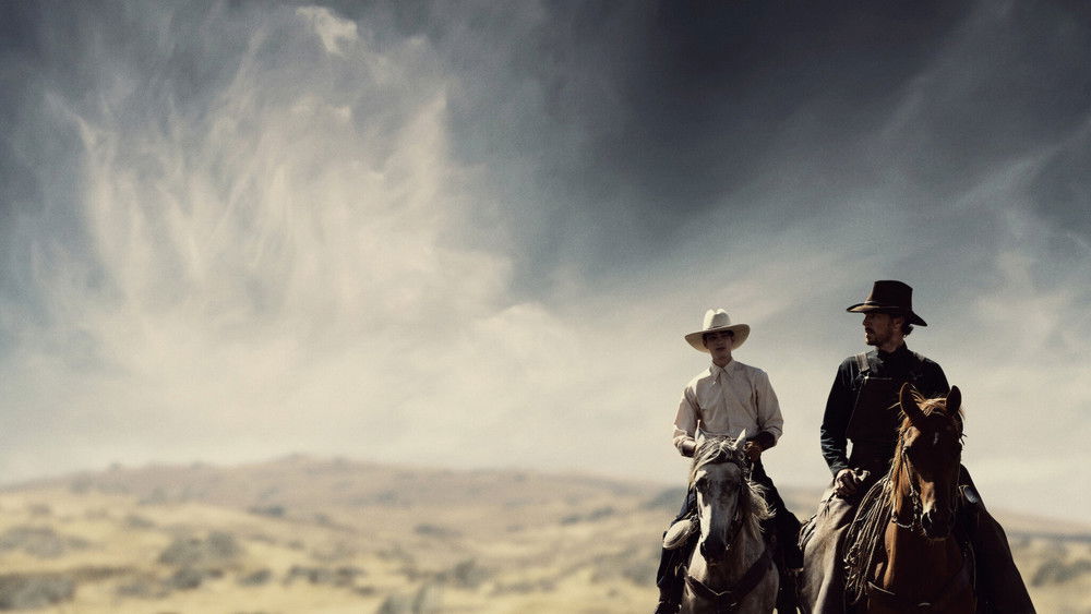 Sức Mạnh Của Loài Chó