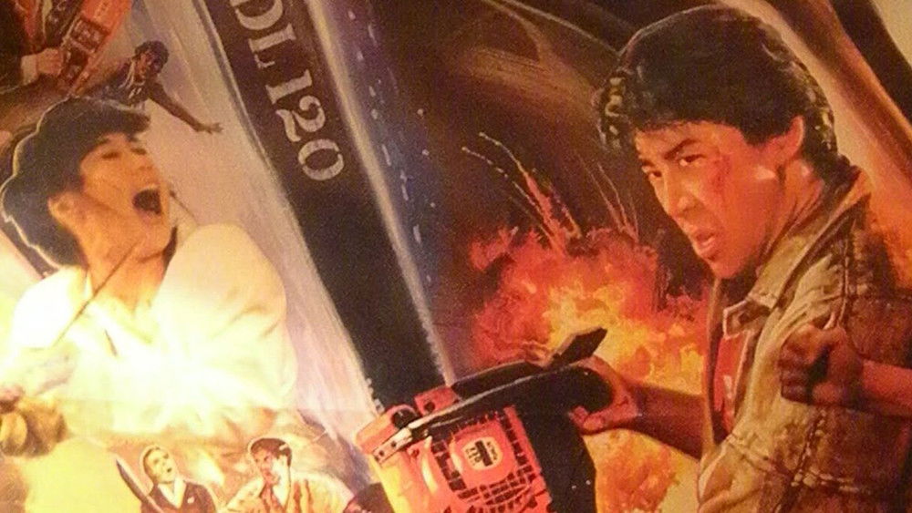 Long Hổ Đặc Cảnh 2