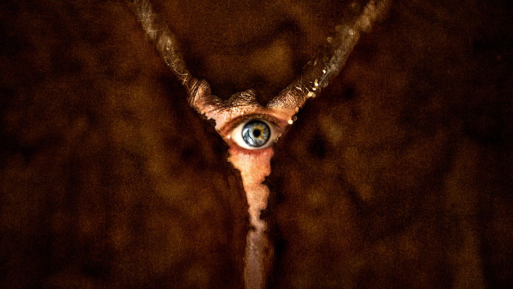 Đồi Câm Lặng: Ác Mộng Trong Sương