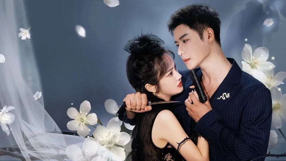 Nhất Thụ Lê Hoa, Nhất Khinh Châu