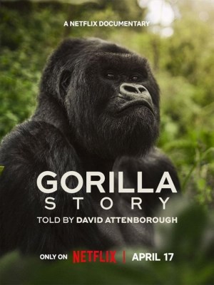 Hành Trình Của Khỉ Đột – Qua Giọng Kể David Attenborough